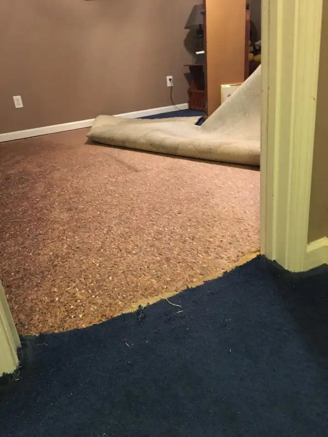 Carpet pad removal revealing water damage during Water Mitigation Services in Archbald