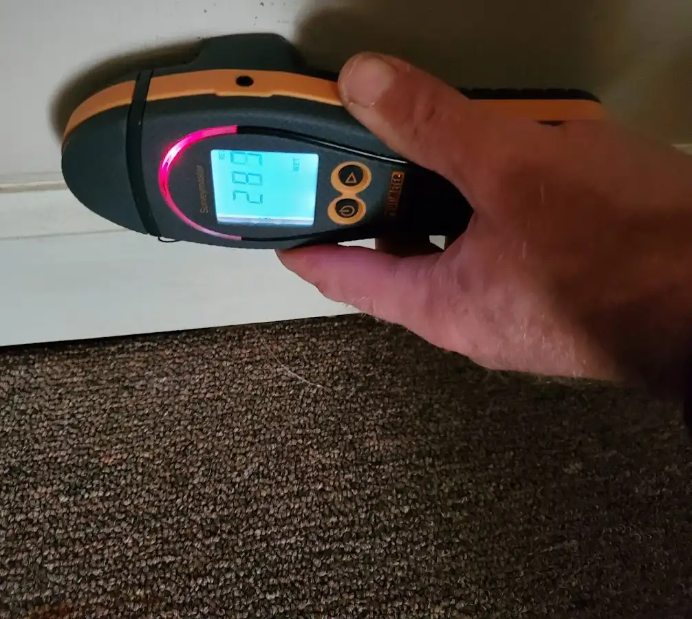 Moisture detection at baseboard during Mold Inspection & Testing in Archbald